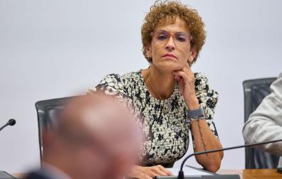 María Chivite, en su comparecencia a petición de UPN para hablar del informe de la UCO de la Guardia Civil