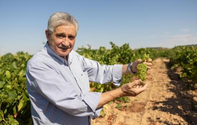 Serafín Vicente Martínez, presidente de la bodega cooperativa cirbonera con un racimo de uva chardonnay