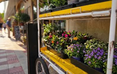 Flores en el exterior de la floristería Núñez