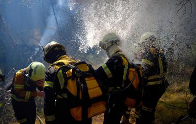 Fotos: Diario de Navarra acompaña a los bomberos codo con codo en la extinción del incendio en un pinar de Carcastillo