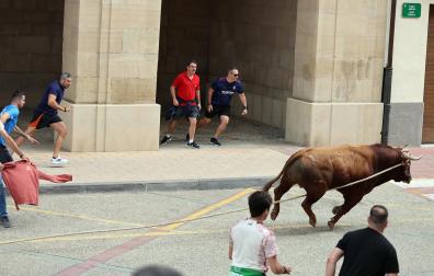 Multitudinario primer toro ensogado en las fiestas de Lodosa 2026 este viernes 18 de septiembre