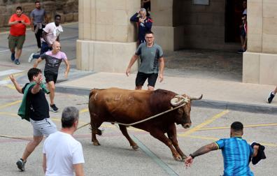 Imagen del toro con soga de Lodosa del pasado viernes 18 de septiembre