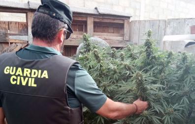 guardia civil