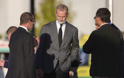Felipe VI