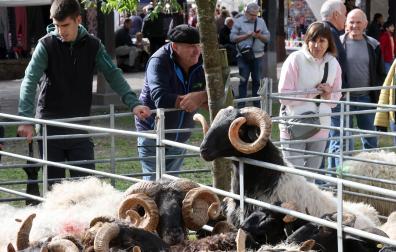 Fotos de la Feria de otoño de Elizondo