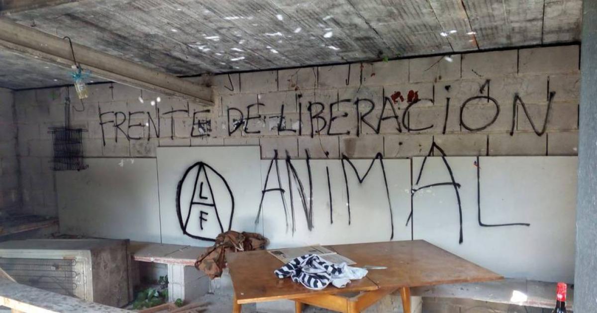 El Frente de Liberación Animal sabotea las palomeras de Añorbe | SeleccionDN+ El Frente de Liberación Animal sabotea las palomeras de Añorbe | SeleccionDN+
