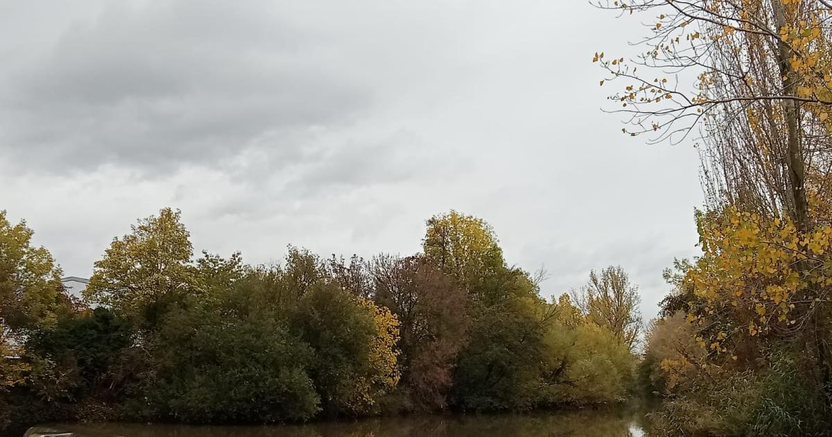 Magia y naturaleza en el bosque de Ilundain