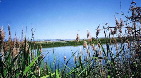 El embalse de las Cañas y la Estanca de los Dos Reinos, zonas de especial conservación El embalse de las Cañas y la Estanca de los Dos Reinos, zonas de especial conservación