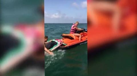 Un delfín aparece varado en la playa del Cabanyal