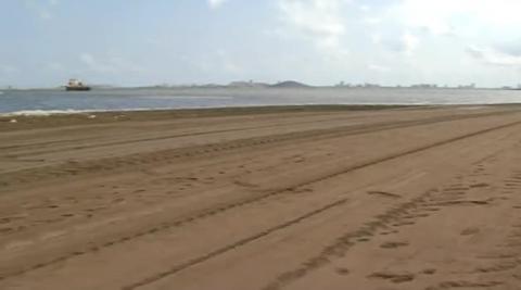 Las medusas se mueren en el Mar Menor a consecuencia de la contaminación Las medusas se mueren en el Mar Menor a consecuencia de la contaminación