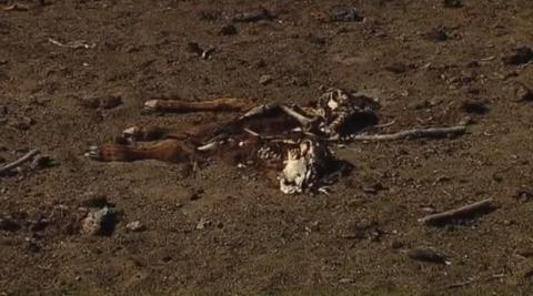 La Isla de los Toros, abandonada La Isla de los Toros, abandonada