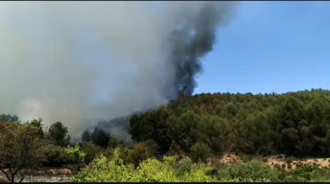 Fallece un hombre por quemaduras en un incendio forestal en Los Arcos Fallece un hombre por quemaduras en un incendio forestal en Los Arcos