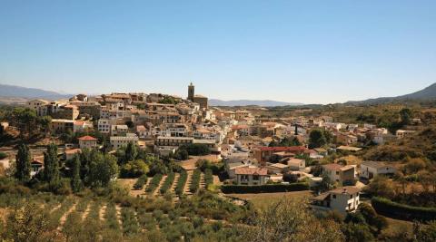 Panorámica obtenida este martes del núcleo urbano de Cáseda.