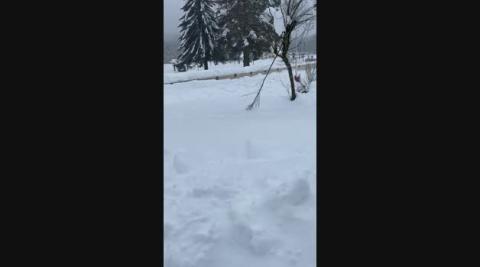 Vídeo: Nevada en Roncesvalles Vídeo: Nevada en Roncesvalles