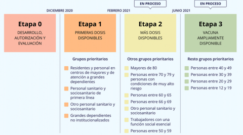 Etapas del proceso de vacunación