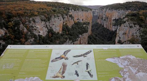foz-arbayun Panel de interpretación de aves en la Foz de Arbayún