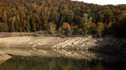 Selva de Irati 3 Se puede disfrutar de este paisaje a través de la vuelta al Embalse de Irabia