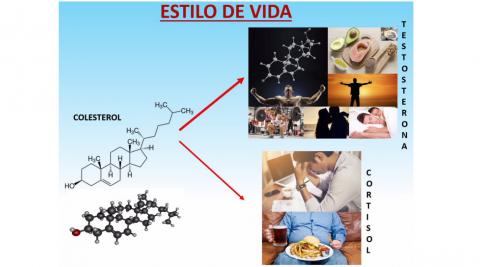 Colesterol... ¿noble o villano? Colesterol... ¿noble o villano?