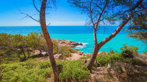 Costa Dorada 3 x