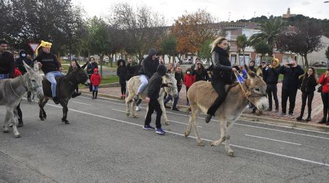 Cinco animales compitieron en la carrera de burros Cinco animales compitieron en la carrera de burros