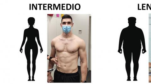 Angulo2 Diferentes metabolismos, por Javier Angulo