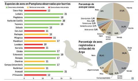 Gráfico Gráfico