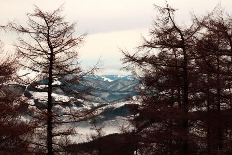 nahia La imagen de un paisaje nevado que ha resultado ganadora en el concurso de fotografía del Manttale, tomada por Nahia Fagoaga.