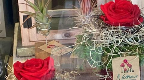 La originalidad de Flores Núñez