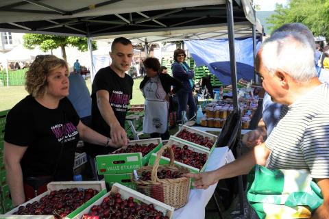 Día de la cereza del Valle de Etxauri