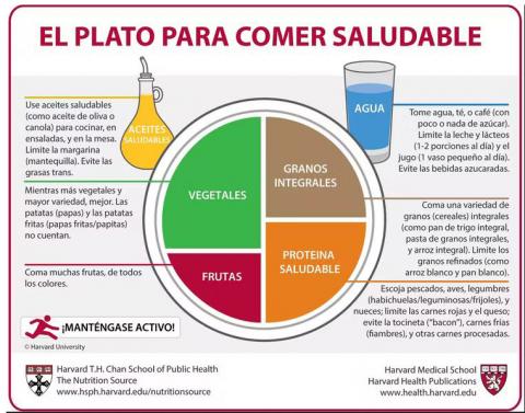 PLATO-HARVARD El plato para comer saludable que representa las recomendaciones de consumo de los diferentes grupos de alimentos incluye un porcentaje bastante pequeño de proteínas de origen animal
