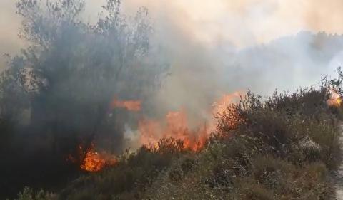 Incendio en Tafalla