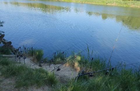 Sanciones pescadores Los pescadores se encontraban en un soto del río Ebro