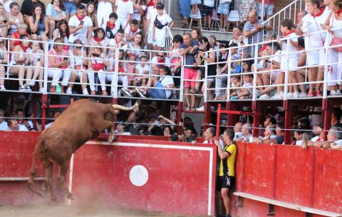 Momento en que el capón salta al interior del burladero de la plaza. Momento en que el capón salta al interior del burladero de la plaza.