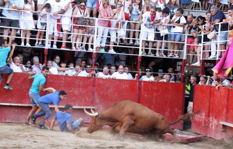 Víctor Arriazu, en el suelo tras caerle el tablón del burladero, queda a merced del capón de alrededor de 600 kilos de peso. Víctor Arriazu, en el suelo tras caerle el tablón del burladero, queda a merced del capón de alrededor de 600 kilos de peso.