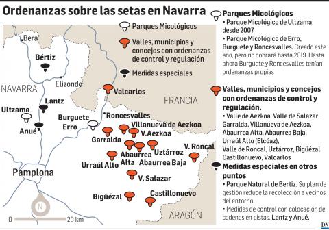 Ordenanza sobre las setas en Navarra Ordenanza sobre las setas en Navarra