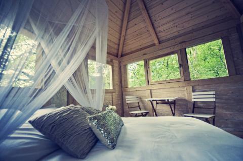 Alojamiento_Basoa Suites_Turismo de Navarra Navarra cuenta con alojamientos muy originales como estas cabañas sobre las copas de los árboles