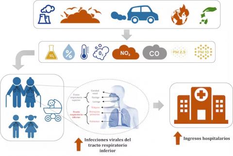 Ciclo de las infecciones respiratorias agudas de las vías bajas por contaminación atmosférica