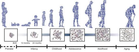 Tomado y modificado de Cryan et al (2019). Tomado y modificado de Cryan et al (2019).
