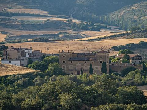 Al fondo, el palacio de Cabo de Armería de Viguria, en Guesálaz Patrimonio