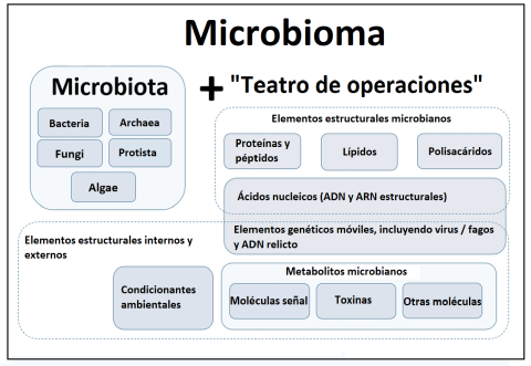microbioma microbioma