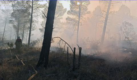 bomberos Cáseda bomberos Cáseda