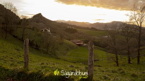 Sagardobus es la alternativa más sencilla para ir de sidrería a Gipuzkoa