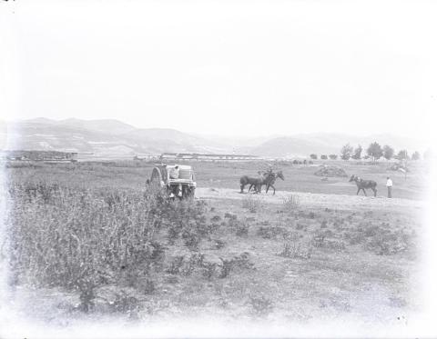 Vista general de una escena agrícola en Pamplona Suplemento 120 aniversario