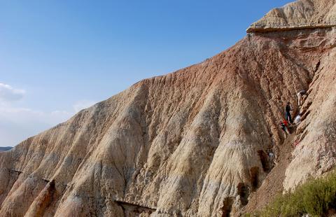 La investigación geológica realizada en las Bardenas Reales ha permitido descubrimientos paleontológicos muy importantes, como el de uno de los nidos flotantes más antiguos del mundo