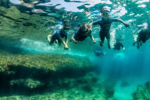 Descubriendo el fondo marino en l’Ametlla de Mar