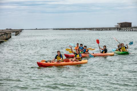 Kayak en la Bahía dels Alfacs