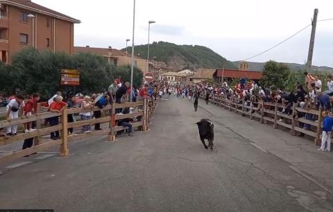 Imagen de uno de los momentos en el que la res la un susto a un mozo