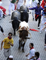 Imágenes del segundo encierro de los Sanfermines 2011 protagonizado por toros de la ganadería Cebada Gago.