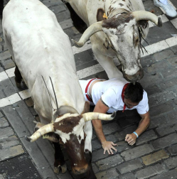 El segundo encierro de los Sanfermines 2011, protagonizado por toros de la ganadería Cebada Gago, ha dejado un corneado, un puntazo y seis heridos por contusiones y traumatismos