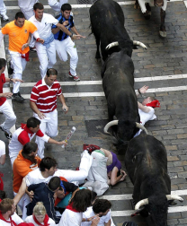 Imágenes del segundo encierro de los Sanfermines 2011 protagonizado por toros de la ganadería Cebada Gago.